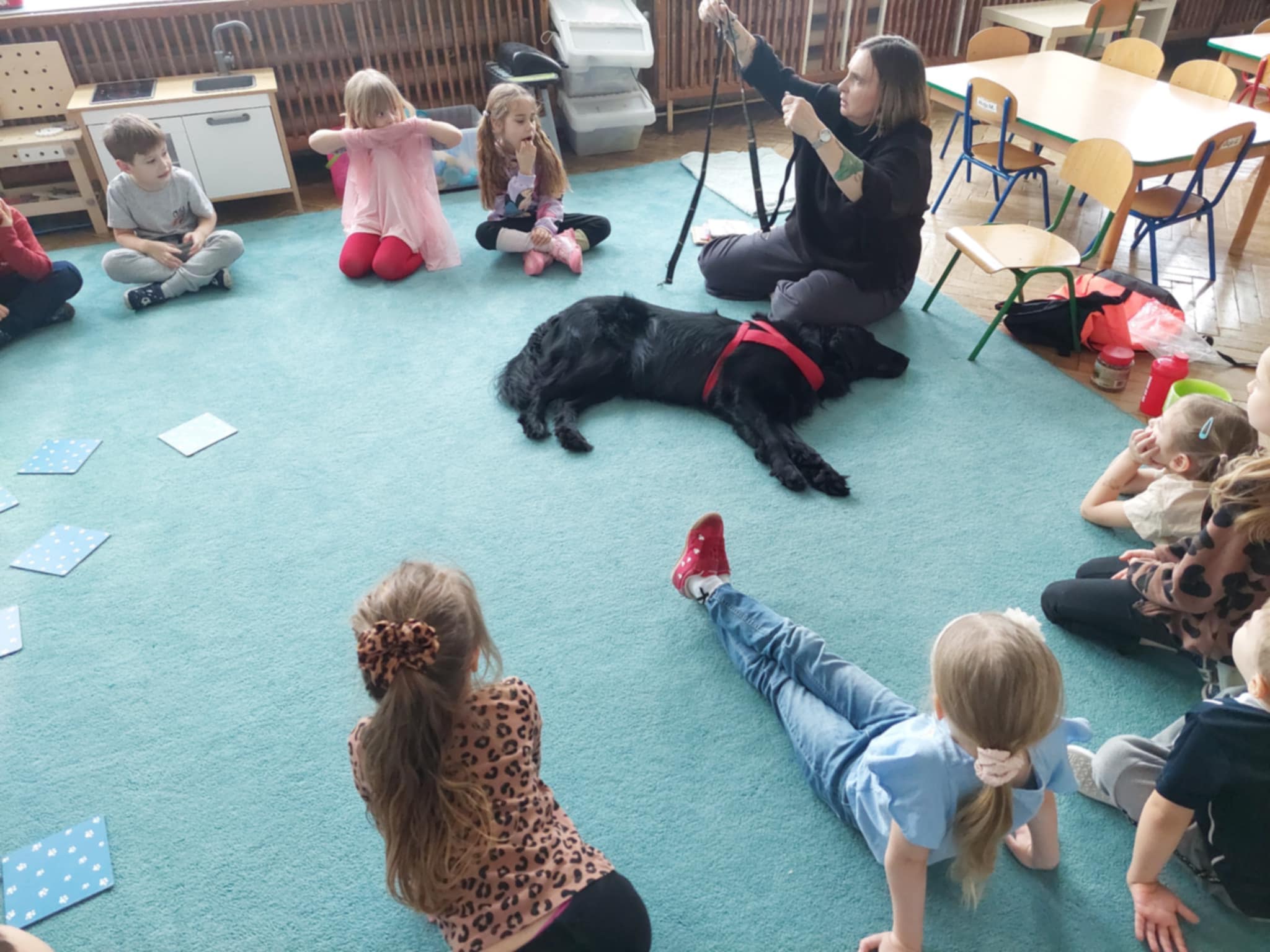 Dzieci i nauczycielka siedzą na niebieskim dywanie w sali przedszkolnej. Na zdjęciu widoczny jest duży, czarny pies. Pomiędzy dziećmi leżą w rozsypce karty do gry w "Menory". Ujęcie 2