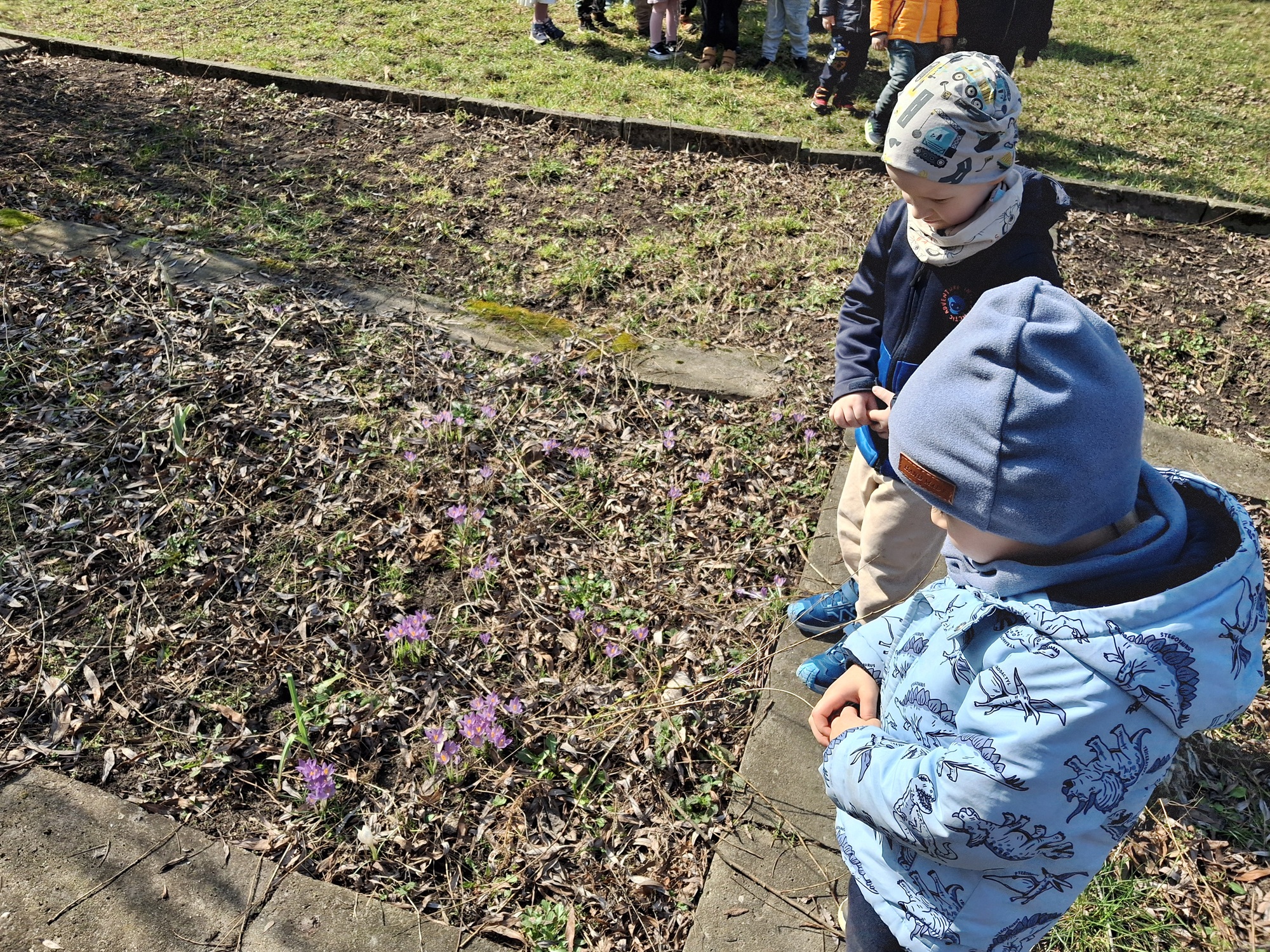 Dzieci w ogrodzie z zaciekawieniem przyglądają się wiosennym kwiatom.