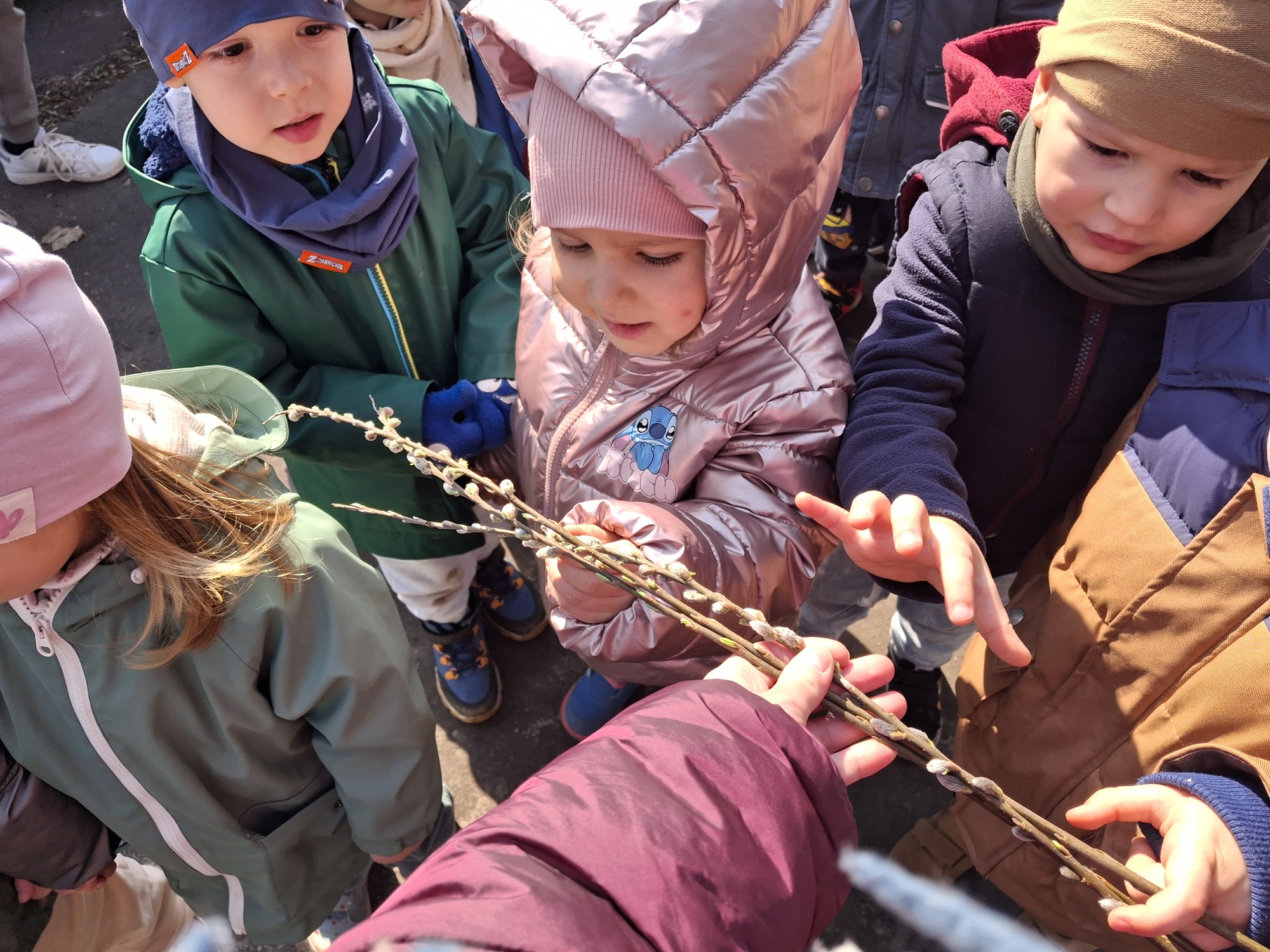 Dzieci w ogrodzie z zaciekawieniem oglądają baziowe kotki na gałązkach.