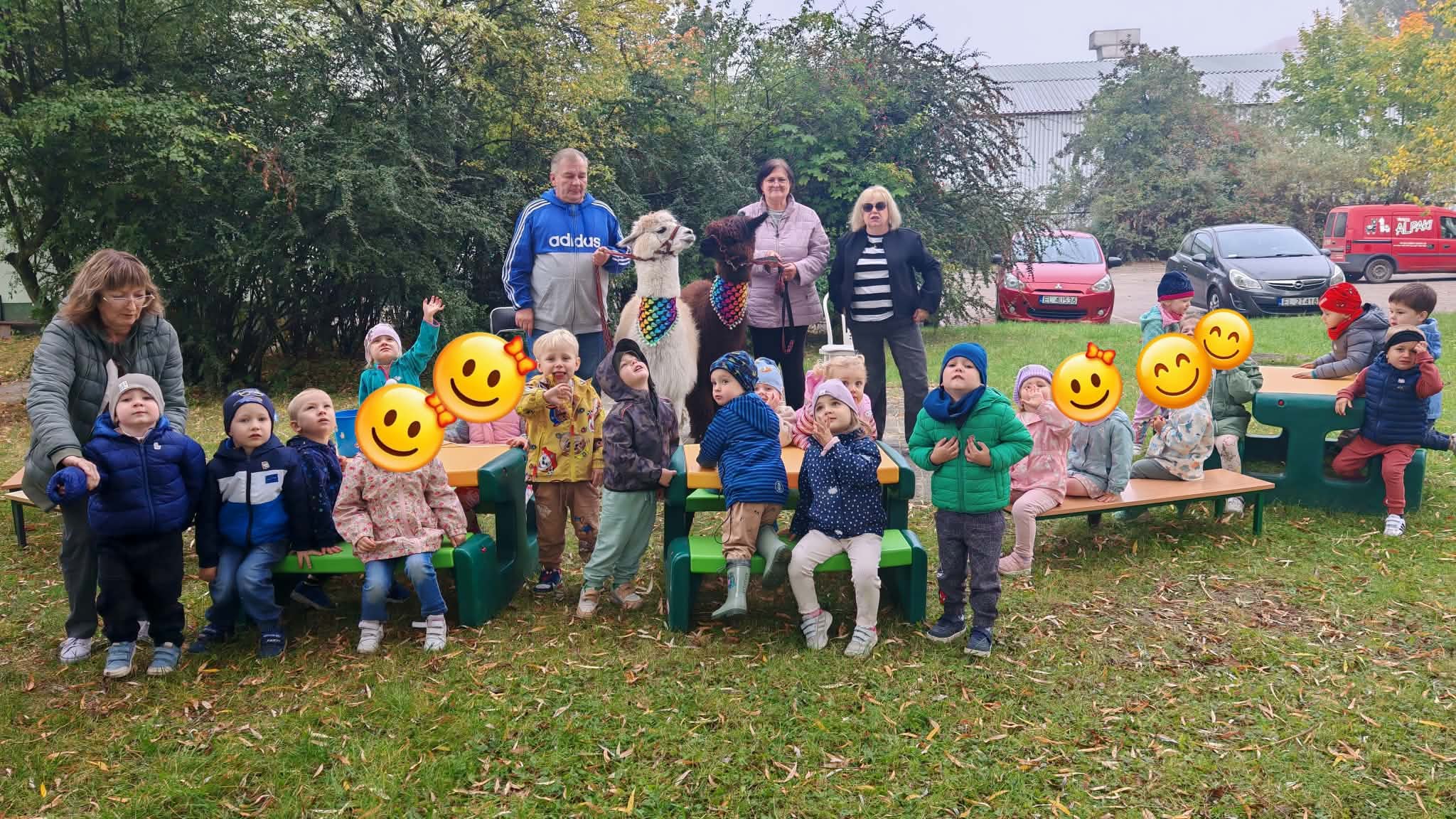 Grupa 1. Dzieci i nauczyciele pozują do wsp&oacute;lnego zdjęcia z alpakami. Zdjęcie częściowo anonimizowane.