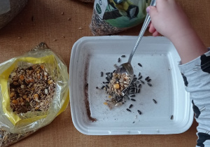 Dziecko przygotowuje mieszankę nasion i ziaren do wysypania w karmnikach.