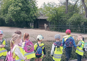 Dzieci przyglądają się piaszczystemu wybiegowi dla zebr.