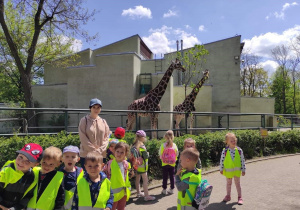 Dzieci razem z nauczycielką pozuje na tle wybiegu dla żyraf. Na drugim planie dwie żyrafy.