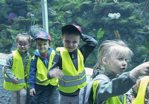 Dzieci oglądają wielkie akwarium i uśmiechają się do zdjęcia. Dziewczynka pokazuje koleżance coś poza kadrem.