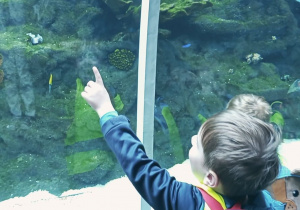 Dzieci oglądają akwarium. Chłopiec wyciąga rączkę do góry.