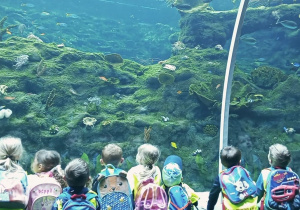 Dzieci oglądają akwarium. Szeroki kadr z rybami w tle.