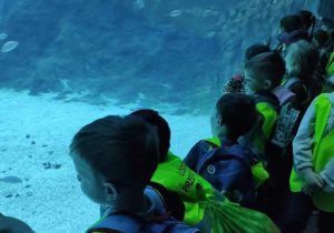 Dzieci przyglądają się dużemu akwarium. Ujęcie 1