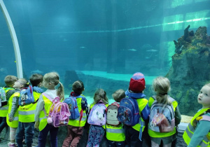 Dzieci przyglądają się dużemu akwarium. Ujęcie 2