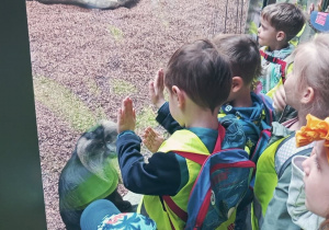 Dzieci przykładają dłonie do szyby przy wybiegu dla małych zwierząt.