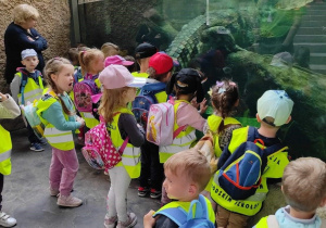 Dzieci z nauczycielką oglądają duże akwarium. W tle krokodyl.