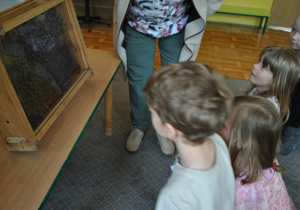 Dzieci z zaciekawieniem przyglądają się fragmentowi ula.