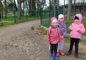 Troje dzieci pozuje do zdjęcia. Na drugim planie dwa króliki, swobodnie poruszające sie po terenie parku.