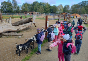 Dzieci i przewodniczka przed wybiegiem dla kóz. Ujęcie 1