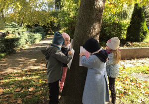 Czworo dzieci kalkuje korę na drzewie.