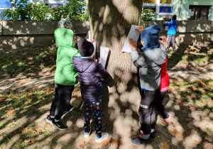 Dzieci kalkują korę drzewa.