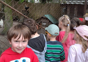 Dzieci podczas zwiedzania farmy.