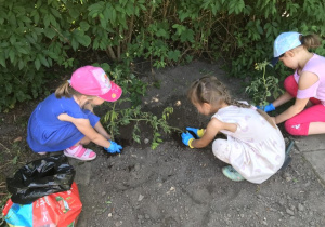Dzieci podczas prac w ogródku warzywnym.