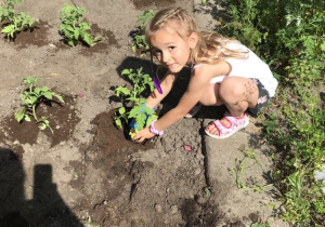 Dzieci podczas prac w ogródku warzywnym.
