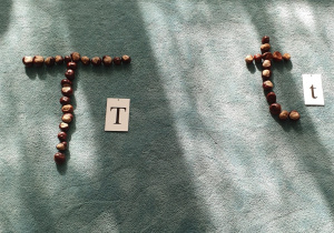 Litery "T" i "t" ułożone z kasztanów.