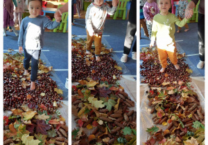 Dzieci spacerują po różnych podłożach (liście, szyszki, kasztany).