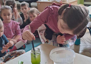 Dzieci przeprowadzają eksperymenty z barwnikami spożywczymi.