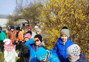 Dzieci szukają śladów wiosny w ogrodzie przedszkolnym.