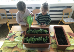 Dziecko podlewa rośliny kiełkujące w doniczce. Ujęcie 2