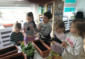 Dzieci sadzą w doniczkach sadzonki roślin. Ujęcie 1