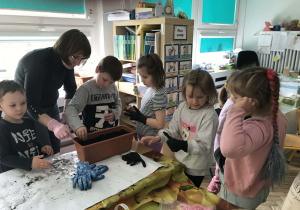 Dzieci sadzą w doniczkach sadzonki roślin. Ujęcie 2