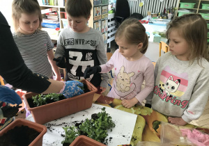 Dzieci sadzą w doniczkach sadzonki roślin. Ujęcie 3