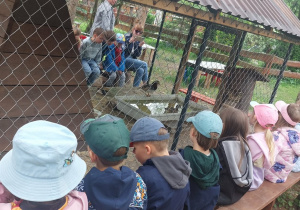 Zabawy i zajęcia w Michałówce. Dzieci przyglądają się kurom i kaczkom w zagrodzie. Grupa 3