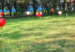 Patyczki z balonikami w kształcie serc ozdabiają ogród przedszkolny.
